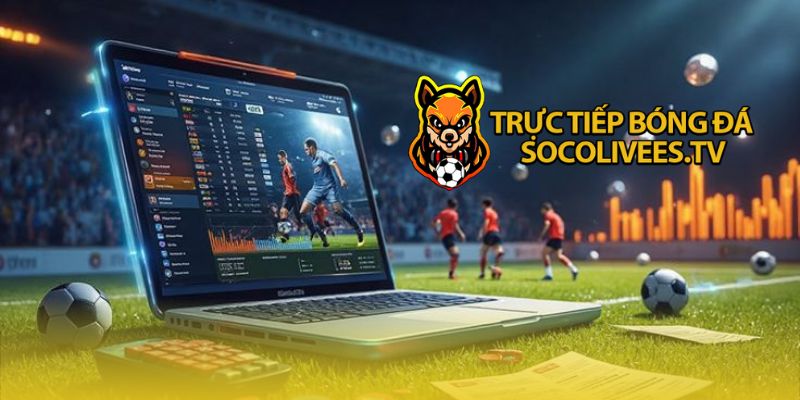 Những thông số quan trọng trên bảng xếp hạng bóng đá Socolive