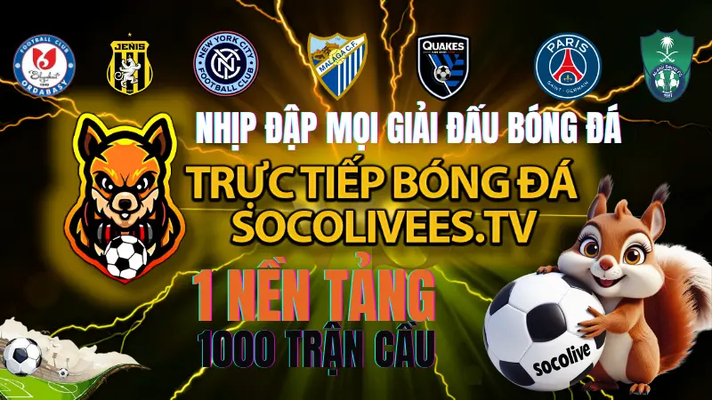 Socolive phát sóng trực tiếp các giải đấu bóng đá lớn nhỏ