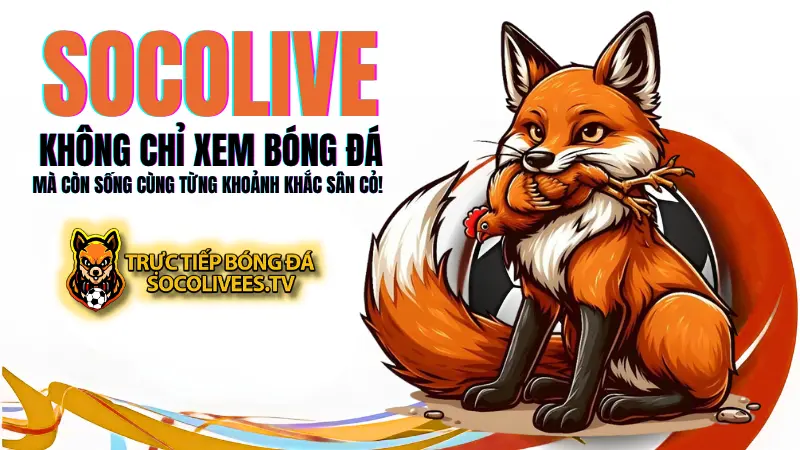 Socolive - cổng xem bóng đá hàng đầu cho anh em